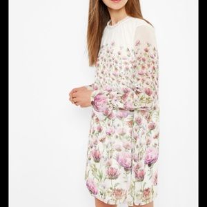 Ted Baker Deasil Thistle Frill High Neck Dress